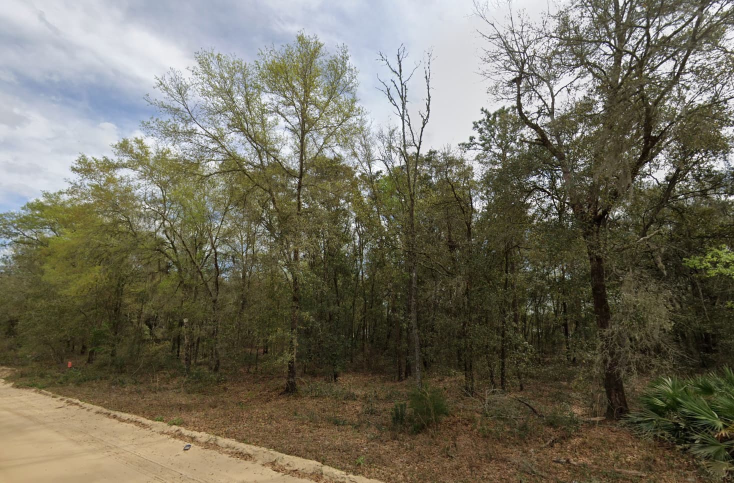 Terreno Acessível na Flórida – 0,22 Acres com Acesso por Rua e Sem HOA!